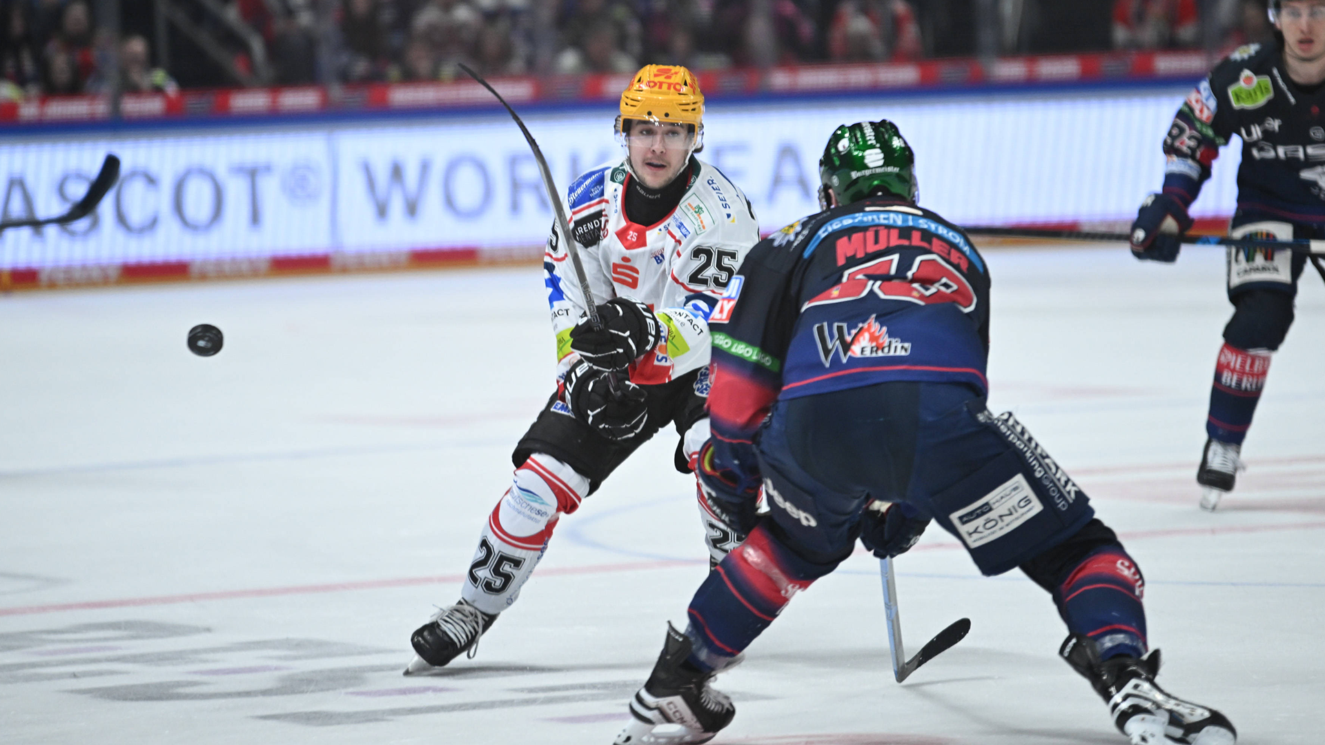 Eisbären Berlin gg. Pinguins Bremerhaven